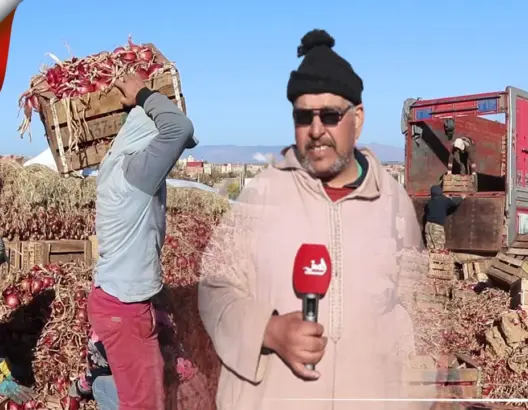 تراجع “غير مسبوق” في إنتاج البصل بالمغرب ومطالب بتدخل الحكومة لإنقاذ القطاع (فيديو)