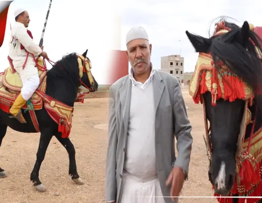بعد تصنيفها تراثا عالميا ممارسو “التبوريدة” يكشفون كواليس عشقهم للخيل ومعاناة غياب “المواسم”
