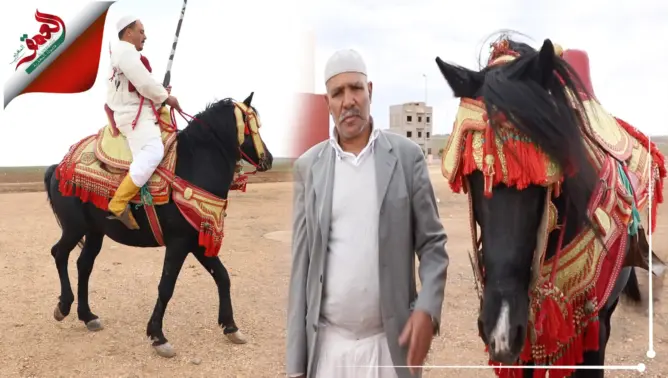بعد تصنيفها تراثا عالميا ممارسو “التبوريدة” يكشفون كواليس عشقهم للخيل ومعاناة غياب “المواسم”