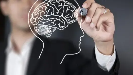 تأثيرها عميق .. علماء يكشفون كيف تؤثر عادات بسيطة على الدماغ ووظائفه