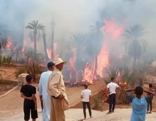 مطالب بالتحقيق في أسباب حرائق واحات زاكورة ومآل الميزانيات المرصودة