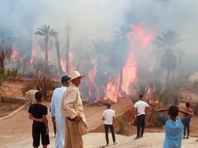 مطالب بالتحقيق في أسباب حرائق واحات زاكورة ومآل الميزانيات المرصودة