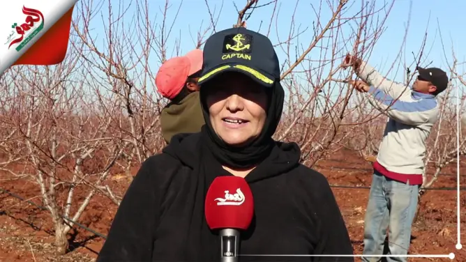 عين تاوجطات.. انطلاق عملية تقليم الأشجار المثمرة للموسم الفلاحي الجاري(فيديو)