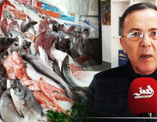 تسمية الشوارع بأسماء الأسماك يثير جدلا بطنجة.. ورئيس مقاطعة مغوغة يوضح (فيديو)