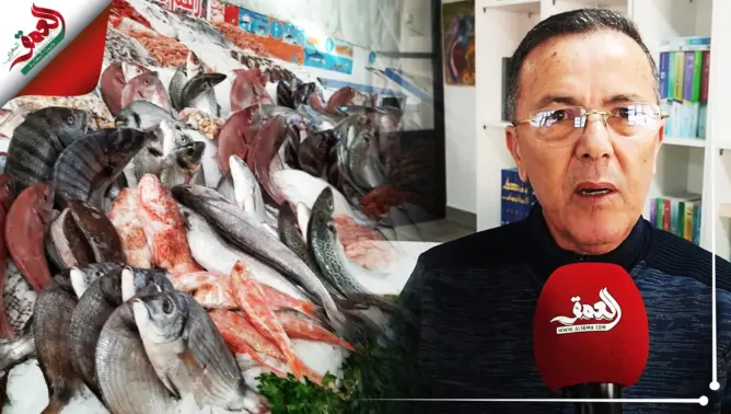 تسمية الشوارع بأسماء الأسماك يثير جدلا بطنجة.. ورئيس مقاطعة مغوغة يوضح (فيديو)