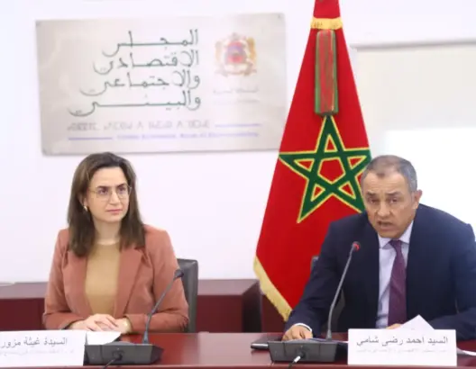 المجلس الاقتصادي والاجتماعي والبيئي