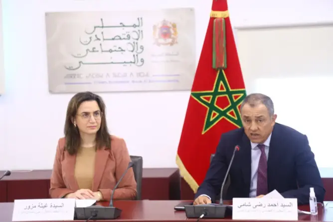 المجلس الاقتصادي والاجتماعي والبيئي