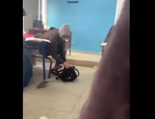 بعد قرار طرد 4 تلاميذ.. هذه مستجدات واقعة إدخال فأر للقسم بثانوية في مكناس