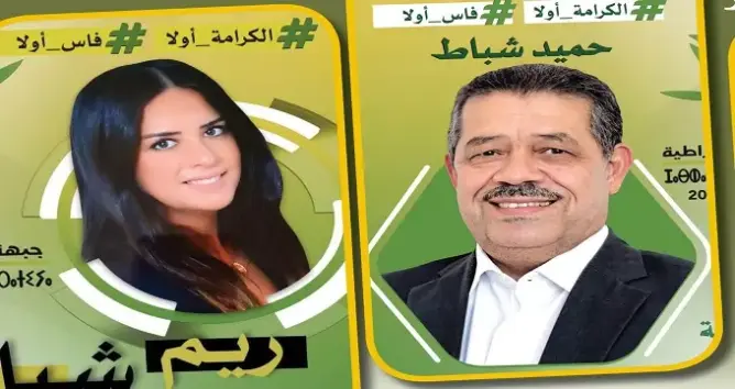 المحكمة الدستورية ترفض طعنا بإلغاء انتخاب نجلة شباط عضوا بالبرلمان