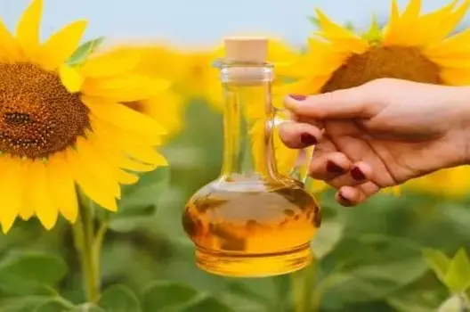 سلسلة النباتات الزيتية .. الأهمية والإنجازات لهيكلة القطاع