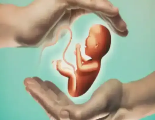 قد تثير جدلا دينيا وأخلاقيا .. مشروع “رحم” و “مربية” بالذكاء الاصطناعي لرعاية أجنة متعددة