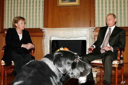 بوتين وميركل.. والكلب