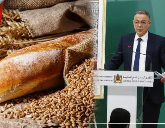لقجع: الدولة دعمت القمح ب 3.2 مليار درهم في 2021 وعليها أن تخصص 3.8 مليار درهم بنهاية 2022