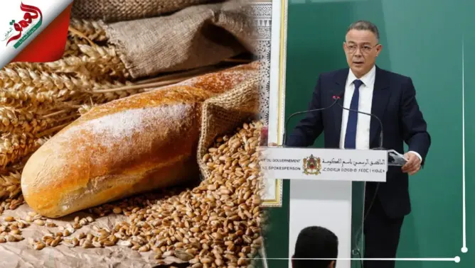 لقجع: الدولة دعمت القمح ب 3.2 مليار درهم في 2021 وعليها أن تخصص 3.8 مليار درهم بنهاية 2022
