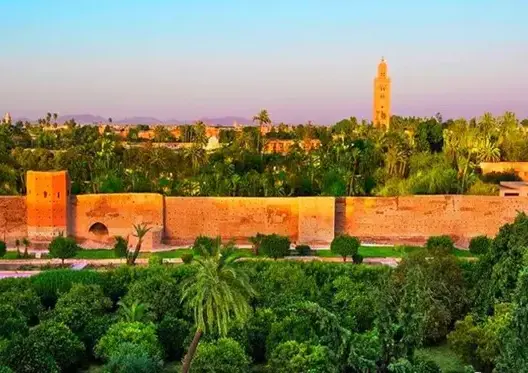 مراكش تستعد لاحتضان المنتدى الإفريقي-العربي الأول حول الابتكارات والاستثمارات في مجالي الصحة والبيئة