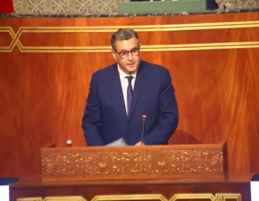 أخنوش: مهما بلغت الكلفة السياسية لن نقبل توريث ملف التقاعد وتعميق أزمته (فيديو)
