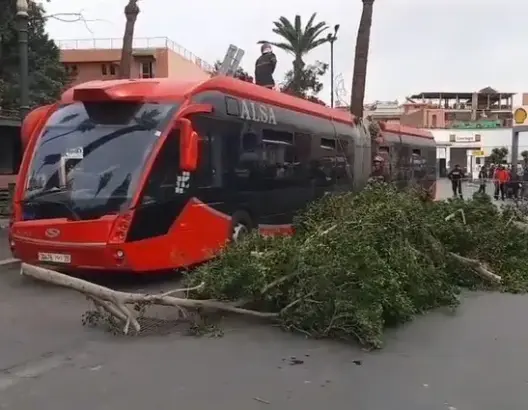 حافلة ألزا عرصة البيلك
