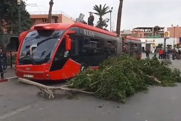 حافلة ألزا عرصة البيلك