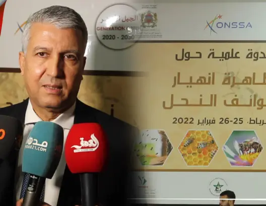 وزارة الفلاحة تعلن عن برنامج استعجالي لمواجهة اختفاء النحل بـ13 مليار سنتيم (فيديو)