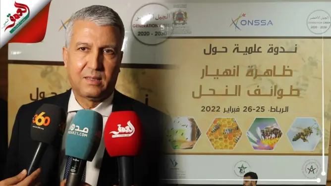 وزارة الفلاحة تعلن عن برنامج استعجالي لمواجهة اختفاء النحل بأزيد من 130 مليون درهم