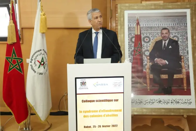حصيلة برنامج المسالك القروية بجماعات تنغير تسائل الصديقي في البرلمان