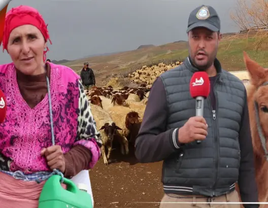 العطش يهدد البشر والحجر بـ”سيدي المخفي” بإفران .. والرئيس يوضح (فيديو)