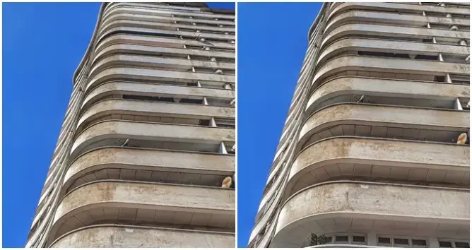 الإهمال يطال أقدم ناطحة سحاب بإفريقيا بقلب البيضاء.. وبريجة يدعو سكانها لأخذ المبادرة