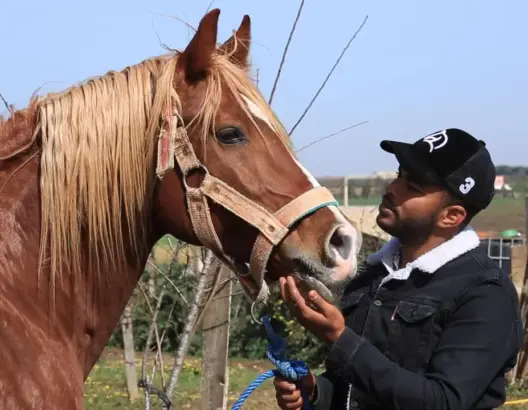 أشرف.. قصة فارس قاده ولَعُه بالخيل إلى السعي لانتشالها من براثن المرض والإهمال (فيديو)