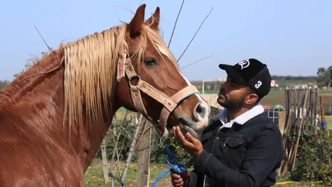 أشرف.. قصة فارس قاده ولَعُه بالخيل إلى السعي لانتشالها من براثن المرض والإهمال (فيديو)