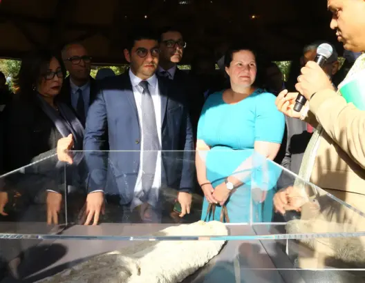 إحداها عمرها 56 مليون سنة.. وزير الثقافة يعرض متستحاثات تمت إعادتها إلى المغرب بعد تهريبها