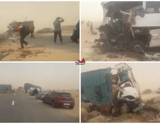 قتلى وجرحى في اصطدام حافلة مسافرين بشاحنة لنقل المواشي قرب طرفاية (صور)