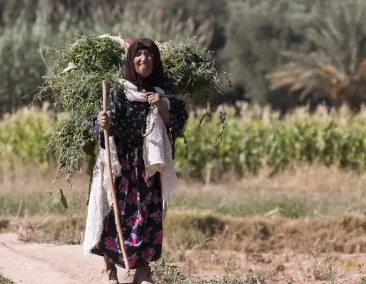 بعد تعرضه لـ “البلوكاج” زمن الـPJD .. برنامج تنمية جهة درعة بـ 46 مليار درهم يرى النور