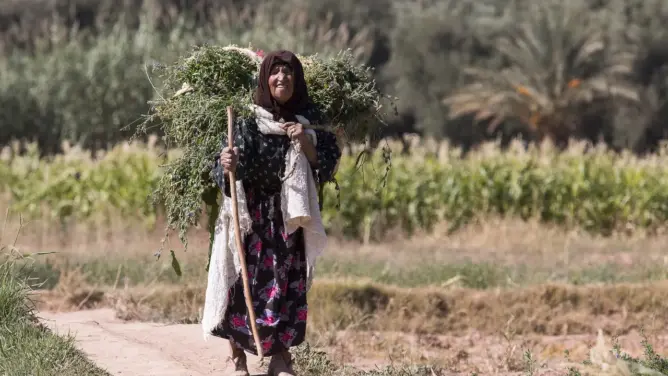 بعد تعرضه لـ “البلوكاج” زمن الـPJD .. برنامج تنمية جهة درعة بـ 46 مليار درهم يرى النور