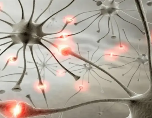 سابقة علمية .. اكتشاف آليات تنظيم الذكريات في الدماغ