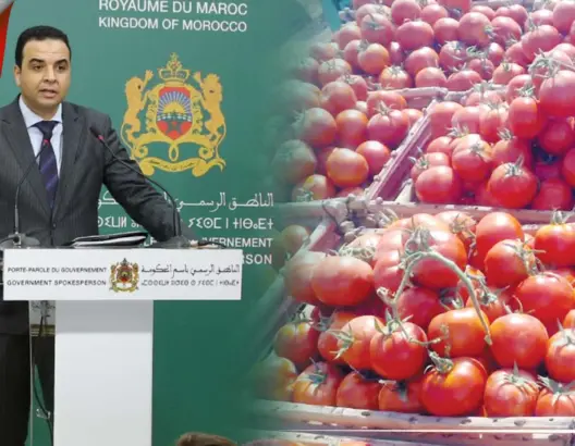 الحكومة: الوسطاء سبب ارتفاع أسعار “ماطيشة” وإجراءات تسير بها نحو الانخفاض (فيديو)