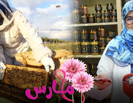 جمعت بين صناعة الحلويات وإنتاج العسل.. عائشة من تيفلت ترتدي البدلة البيضاء وتقتحم عالم النحل