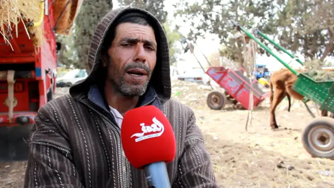 باعة التبن بالتقسيط يشتكون الغلاء
