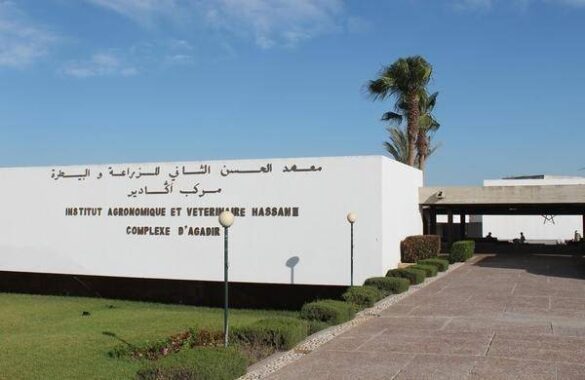 معهد الحسن الثاني للزراعة والبيطرة بآيت ملول