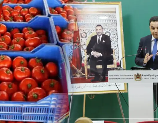 الحكومة: الوسطاء سبب ارتفاع أسعار “ماطيشة” وإجراءات تسير بها نحو الانخفاض