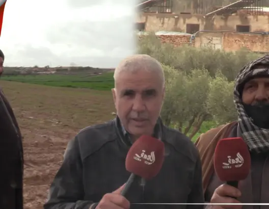 فلاحون بوجدة فرحون بالتساقطات المطرية الأخيرة: رغم تأخرها ستنفع الأشجار والأغنام (فيديو)