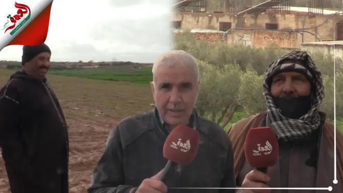 فلاحون بوجدة فرحون بالتساقطات المطرية الأخيرة: رغم تأخرها ستنفع الأشجار والأغنام (فيديو)