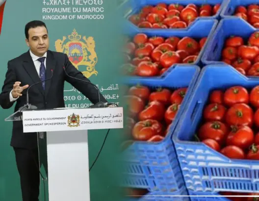 الحكومة: أسعار الطماطم بين 2 و4 دراهم ومتوفرة بشكل كافٍ