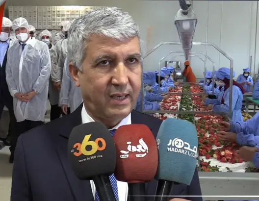 توفر ألفي منصب شغل.. وزير الفلاحة يطلع على وحدة لتجميد الخضر والفواكه بتاوريرت