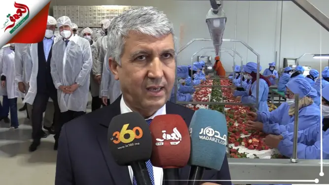 توفر ألفي منصب شغل.. وزير الفلاحة يطلع على وحدة لتجميد الخضر والفواكه بتاوريرت