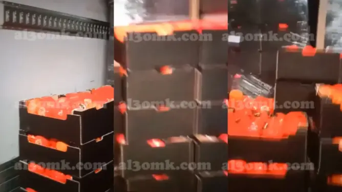 فيديو يوثق لتهريب مخدرات داخل شحنة طماطم يستنفر سلطات ميناء طنجة المتوسط (فيديو)