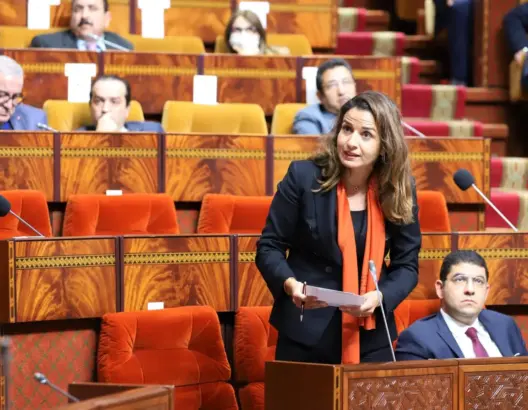 بنعلي: ملف “لاسامير” معقد بشكل غير مسبوق ولا يقبل المزايدات السياسية