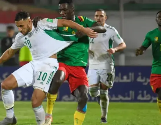 مونديال قطر .. “الفيفا” تنظر رسميا في ملف 4 مواجهات في التصفيات الإفريقية