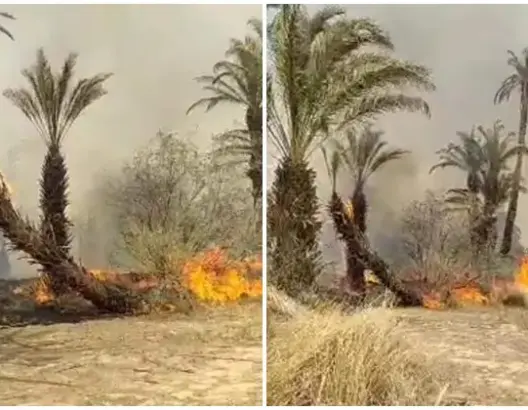 حريق مهول بـ “دوار أيت سنان” يستنفر سلطات تودغى العليا نواحي تينغير