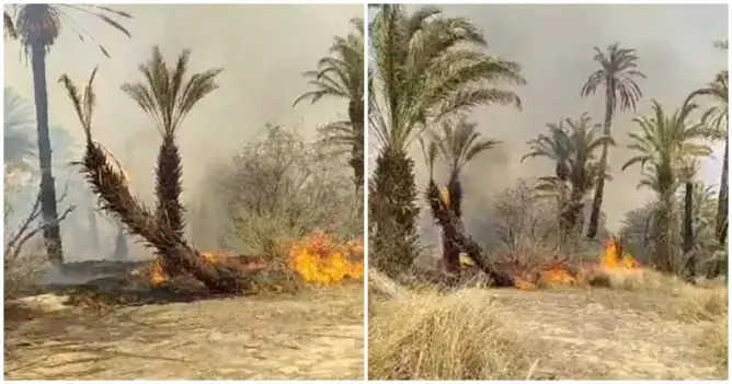 حريق مهول بـ “دوار أيت سنان” يستنفر سلطات تودغى العليا نواحي تينغير