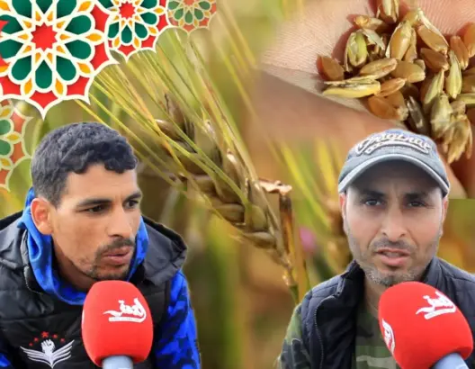 التساقطات الأخيرة تدخل الفرحة على فلاحي دكالة